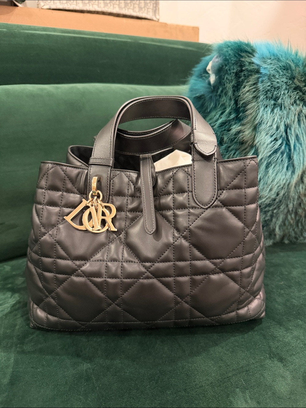 Dior Medium Black Toujours Bag